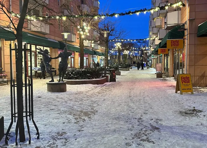 Super Great Relaxed Living No 2 *